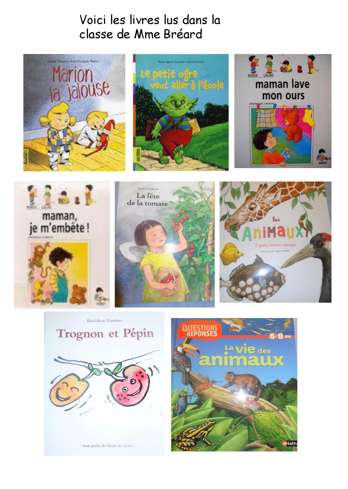 Journal de classe site internet page 003