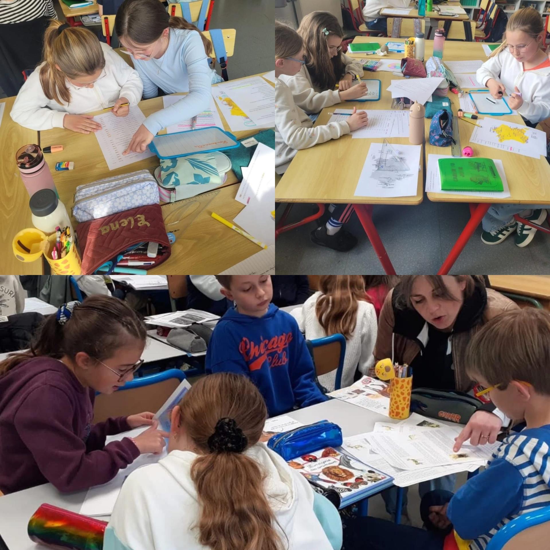 Travail de groupe